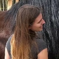 Кокијјекул Голе